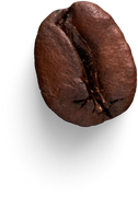 Isolated Cutout PNG