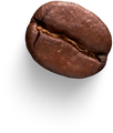 Isolated Cutout PNG