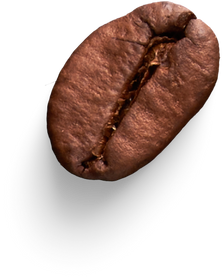 Isolated Cutout PNG