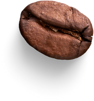 Isolated Cutout PNG